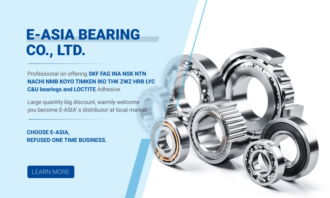 Wj241 NSK NTN Timken Koyo NACHI Zwz Cylindrical Roller Bearings Ncf1840V Ncf2940V Ncf1844V Ncf2944V Suzuki Clutch Bearingdirt Bike Parts